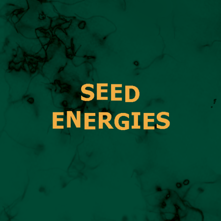 Seed Energies Website Image